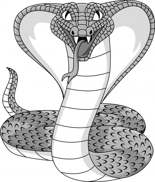 How To Draw A Snake - Cobra - Advanced - Art For Kids Hub -
